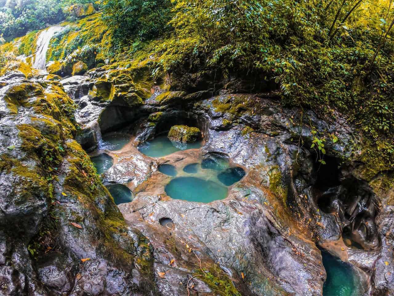 Aventura Pata de Perro